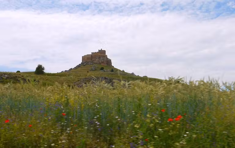 Fortaleza califal de Gormaz.
