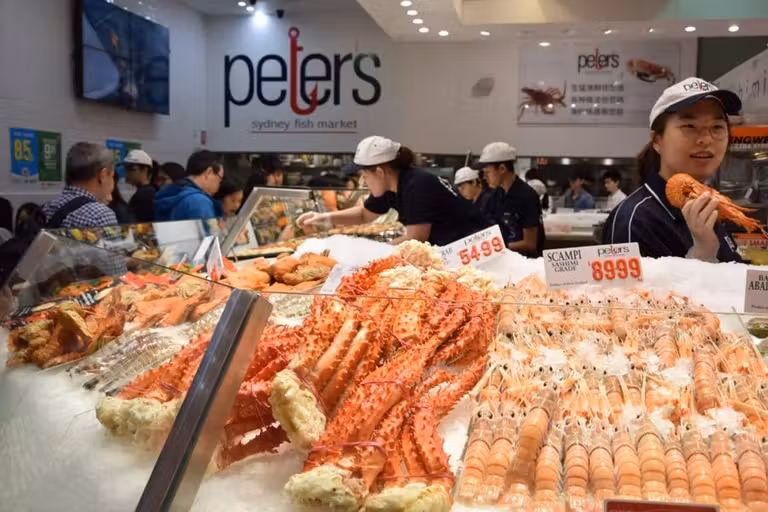 lonja sidney, viaje australia