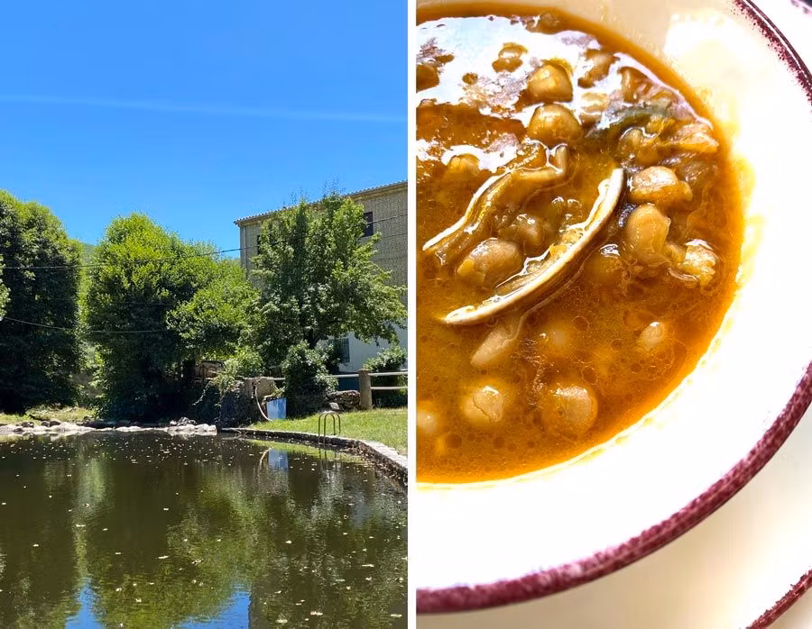 restaurante el papero sierra de francia