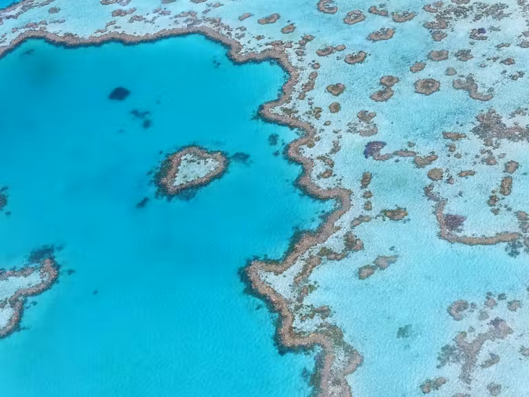 gran barrera coral, viaje australia