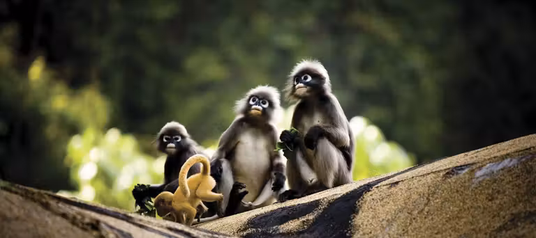 hotel krabi viajes familia niños love