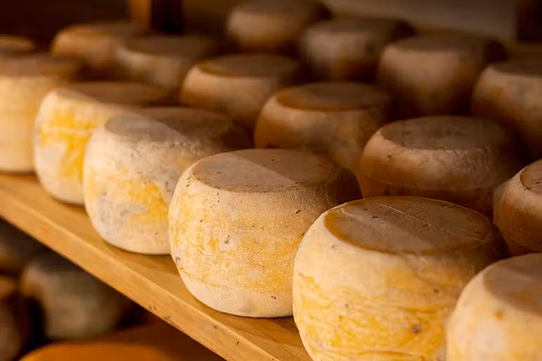 El queso manchego es uno de los deliciosos productos que se pueden adquirir en Albacete.