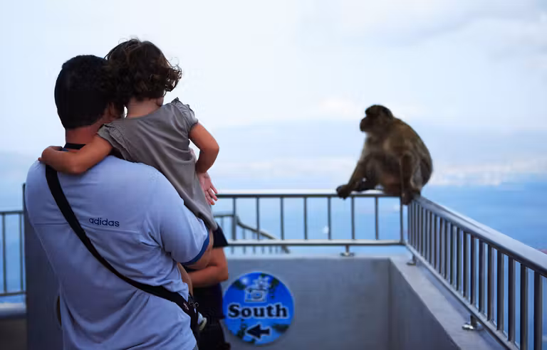 monos de gibraltar, viajes en familia