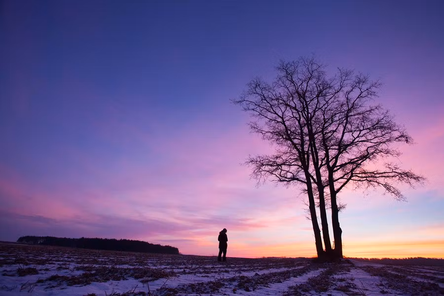 Aventura en Polonia: los últimos bisontes de Europa están en Bialowieza