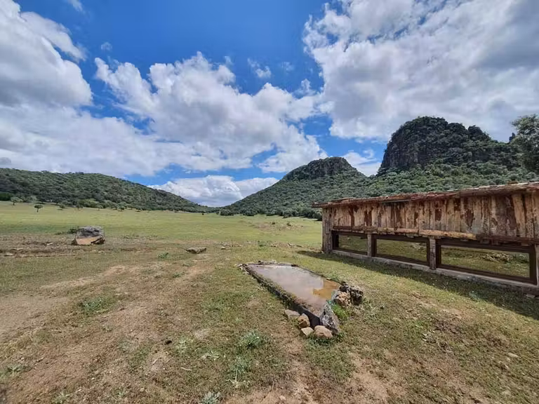 Avistamiento de aves desde el glamping de lujo en Córdoba