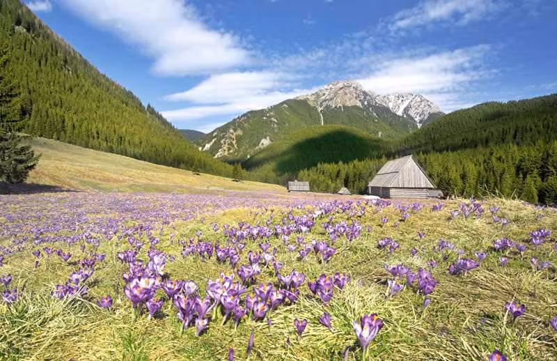 Los Montes Tatra en primavera.