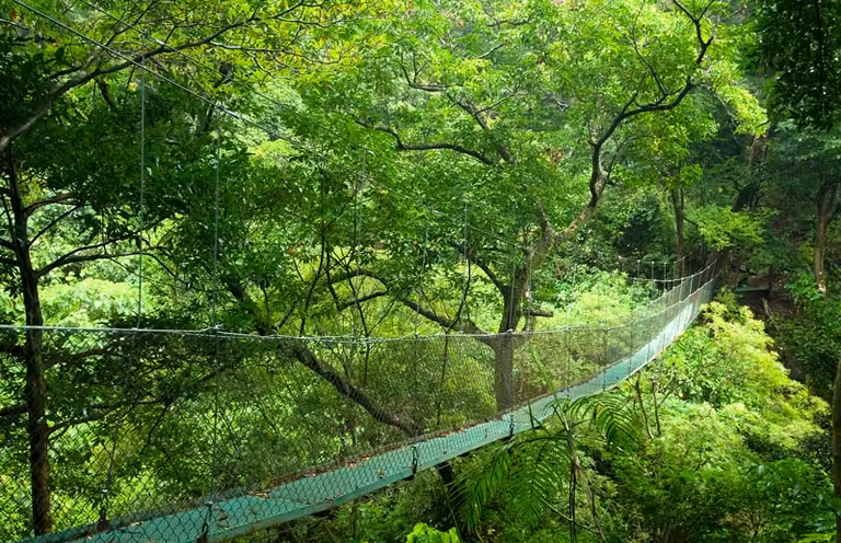 Estación Biológica La Selva, en Sarapiquí