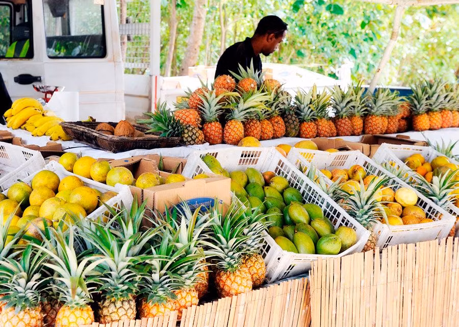 Puesto de frutas en Grand Anse Salines.