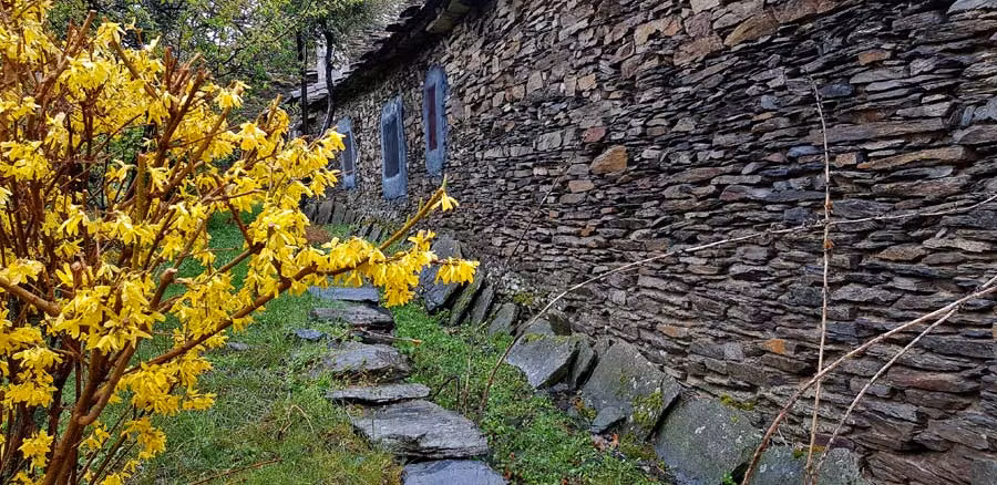 Majaelrayo es un pueblo negro de Guadalajara