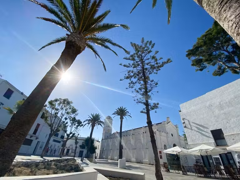 Iglesia-Centro Cultural de Santa Catalina entre palmeras