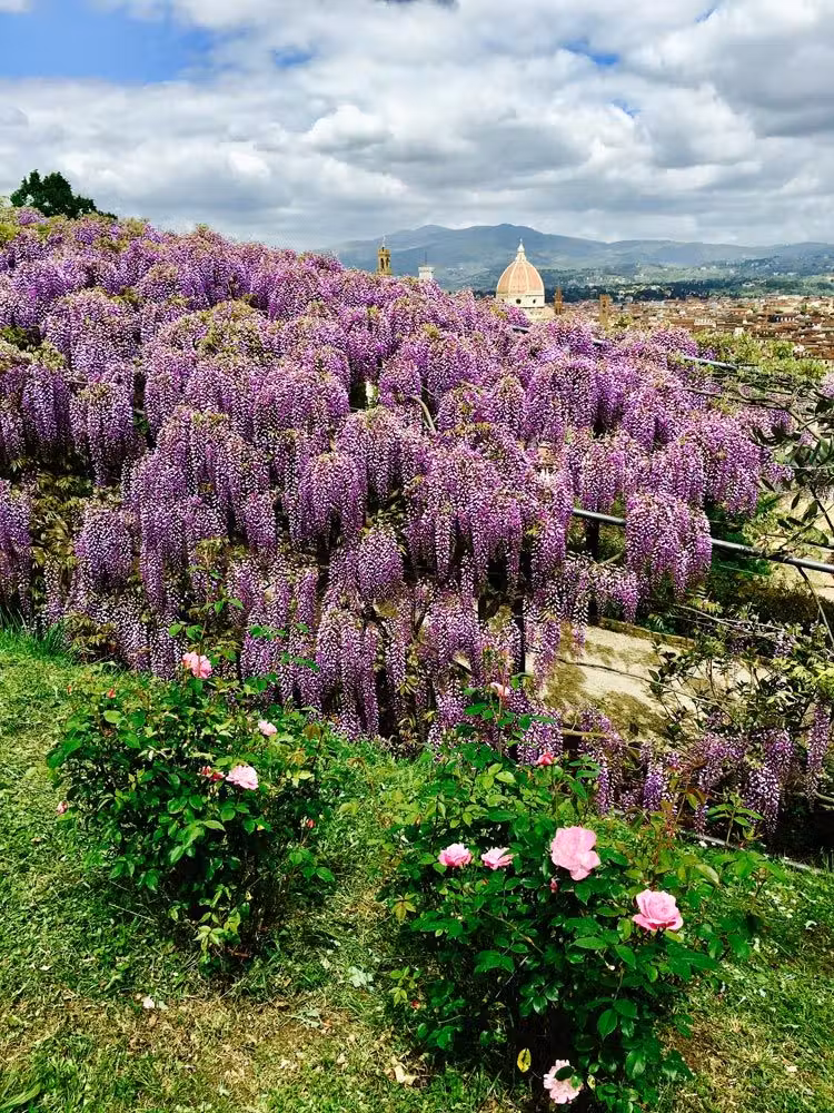 bardini jardines de florencia