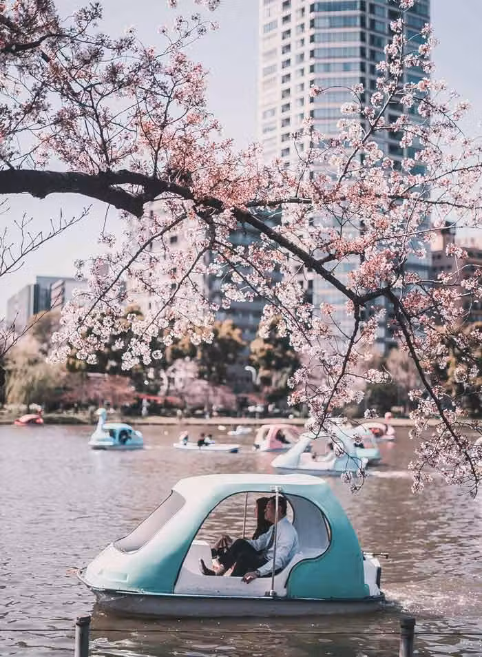 Barcas en el estanque Shinobazu.