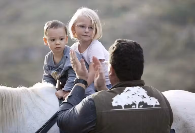 caballo en la nieve, nieve sin esquiar, que hacer en la nieva si no esquias