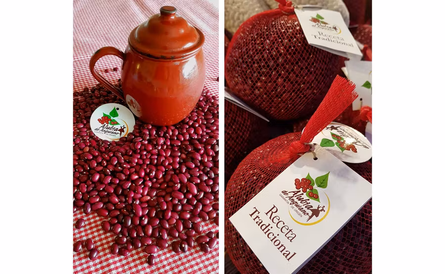 ruta gastronomica la rioja, platos tipicos en la rioja