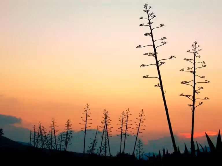 Atardecer en el Parque Natural Cabo de Gata-Níjar, donde se encuentra Rodalquilar.