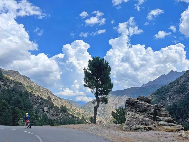 carretera en Córcega