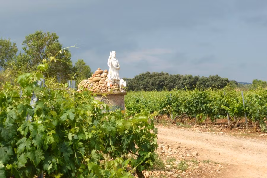 camino de santiago enoturismo la rioja