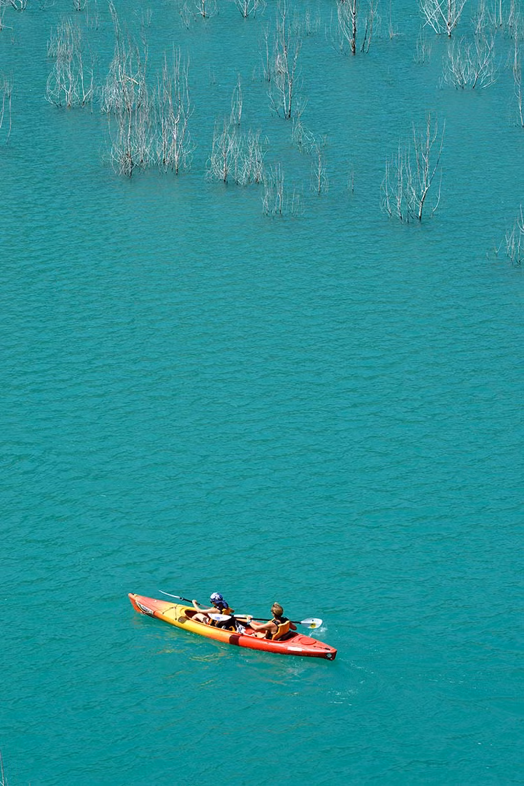 Árboles y plantas emergen del pantano de Canelles.