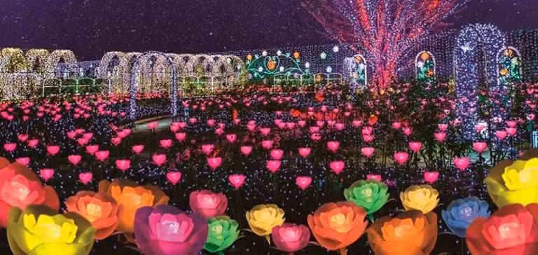 Parque Floral Ashikaga Flower Fantasy