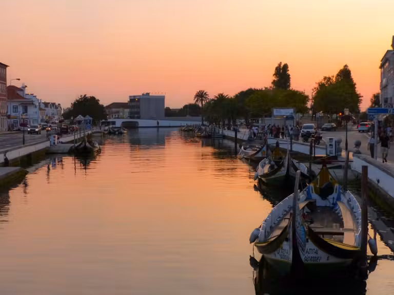 viaje aveiro fin de semana moliceiros canales