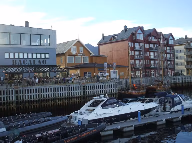 Bacalao bar en svolvaer, islas lofoten