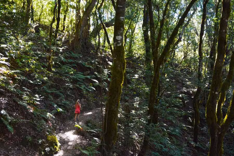 Senderismo en La Palma, descubre sus rutas más bonitas