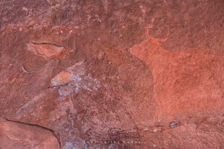 Pinturas rupestres en la Sierra de Albarracín.