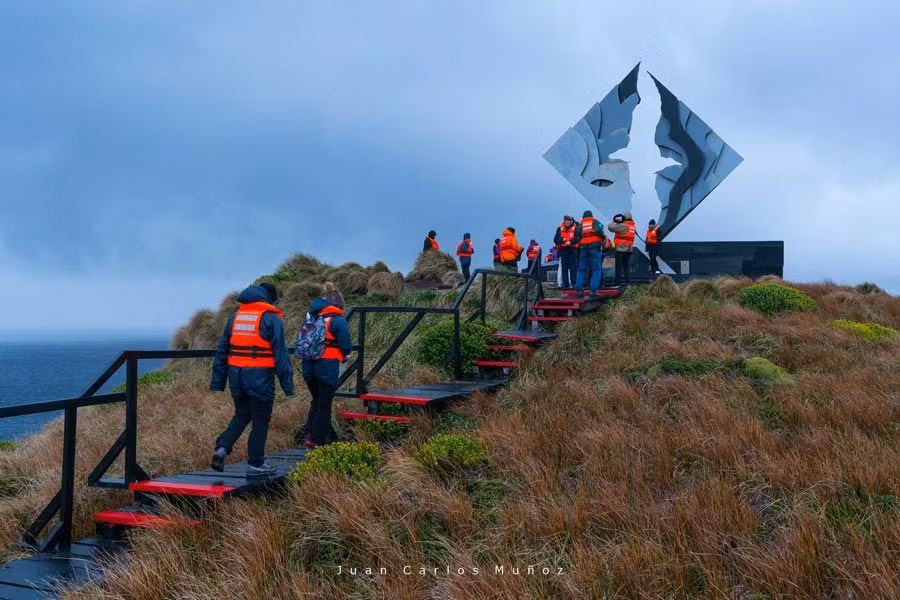 albatros, patagonia chilena, patagonia argentina, viaje mujeres