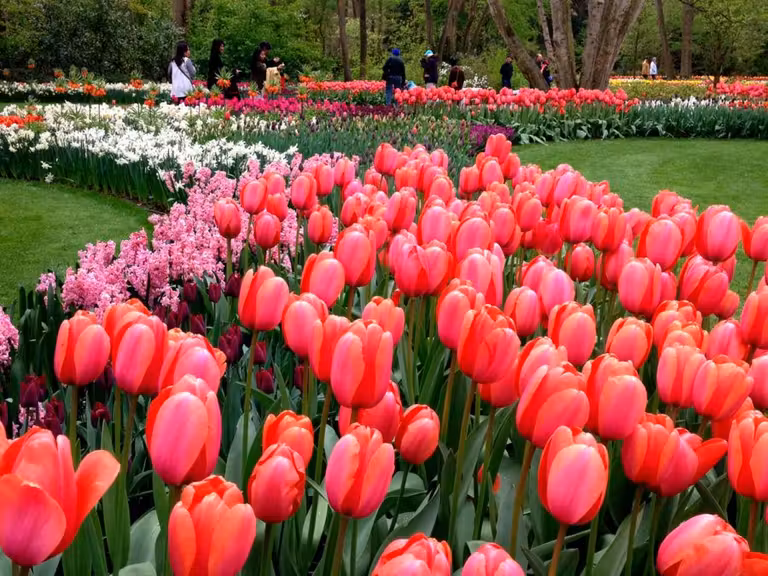 Holanda en familia, viajes con niños, escapadas por Europa